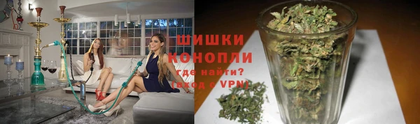 СК Арсеньев