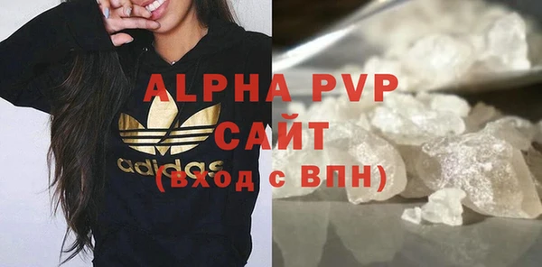 индика Аркадак