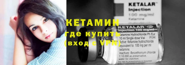 индика Аркадак