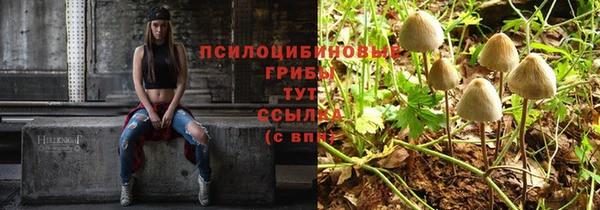 СК Арсеньев