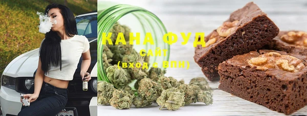 индика Аркадак