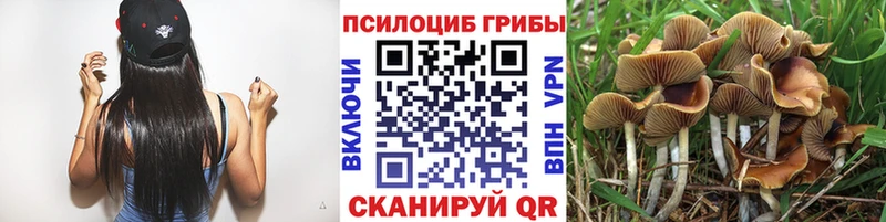 Псилоцибиновые грибы мухоморы  где продают   ссылка на мегу ссылки  Фролово 
